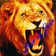צלמית המשתמש של Lion_of_Zion